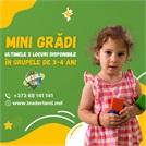 Mini-grădi la centrul educațional ”Leader Land”: ultimele 2 locuri disponibile