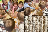 Activități delicioase  la ”Academia Piticilor”