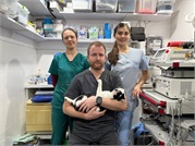 Профессионалы по собакам и кошкам: ветеринарная клиника Nags Vet в Кишинёве