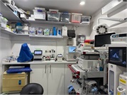 Ежегодные анализы для домашних животных: зачем они нужны и как помогают сохранить здоровье питомца