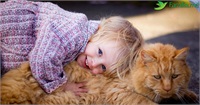 Рейтинг кошек для семьи с ребенком