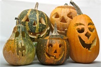 Хэллоуин, Anim'est  и другие события на 25-31 октября