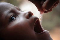 New York Times: Полиомиелит возвращается