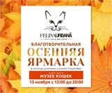 13 ноября — Благотворительная ярмарка в помощь уличным кошкам Кишинева