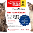 Выставка кошек 22-23 декабря