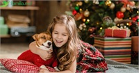 Афиша 20-26 декабря: ярмарка рождественских подарков, зимняя сказка для детей, множество благотворительных мероприятий