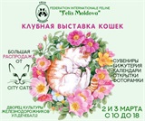 2 и 3 марта приглашаем всех на выставку кошек от известного фелинологического клуба Felis Moldova