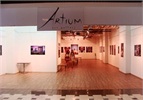 Галерея Artium — Галерея, выставочный зал