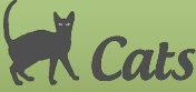 British Cat House - Питомники британских кошек — Питомник для кошек