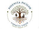 Poienița Picilor — Grădiniță privată
