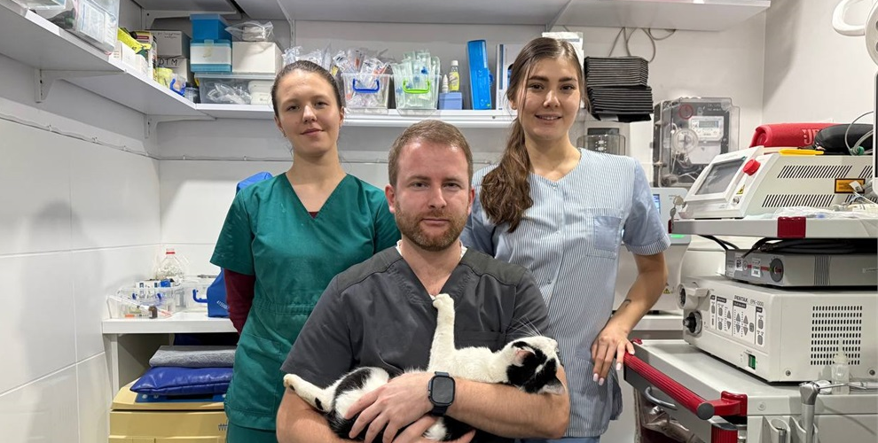 Nags Vet: Clinica veterinară din Chișinău specializată în îngrijirea câinilor și pisicilor.

  