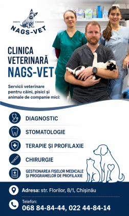 nagsvet