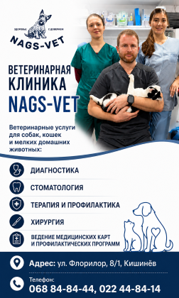 nagsvet